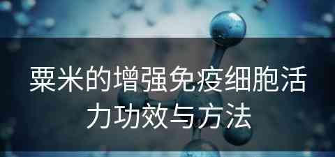 粟米的增强免疫细胞活力功效与方法